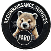 Reconnaissance.Services patch