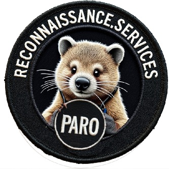 Reconnaissance.Services